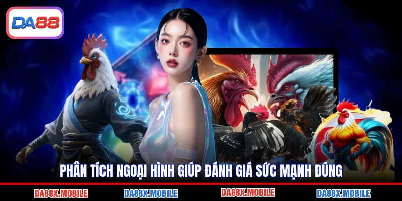 Phân tích ngoại hình giúp đánh giá sức mạnh đúng