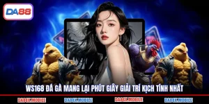 WS168 Đá Gà Mang Lại Phút Giây Giải Trí Kịch Tính Nhất
